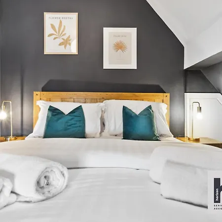 Free Parking - Penthouse - Business - Relocating - St * هاروغايت